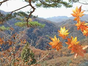 2025年10月8日