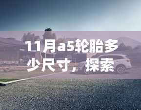 揭秘十一月A5轮胎尺寸,启程探索自然美景,寻觅内心宁静与平和之旅