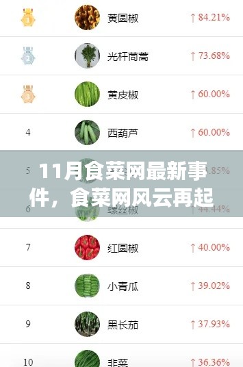 食菜网风云再起,聚焦最新事件及其深远影响