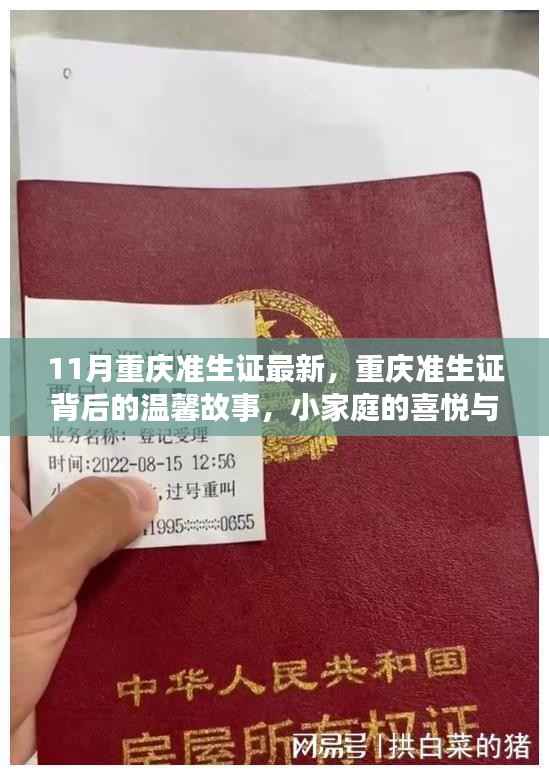 重庆准生证背后的喜悦与期待,最新动态与温馨故事