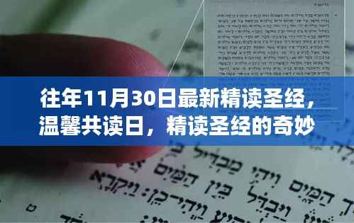 温馨共读日,精读圣经的奇妙时光与深刻领悟