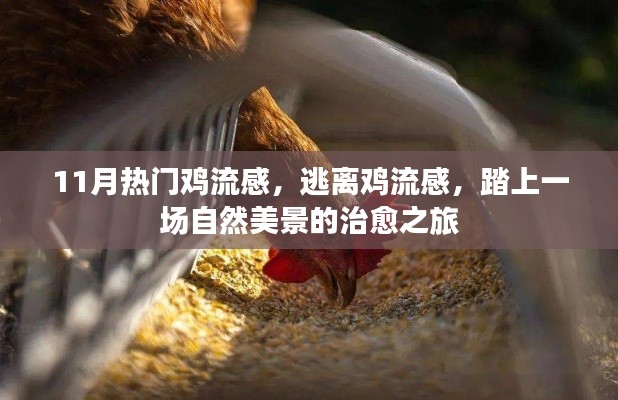 11月热门鸡流感,逃离鸡流感,踏上一场自然美景的治愈之旅