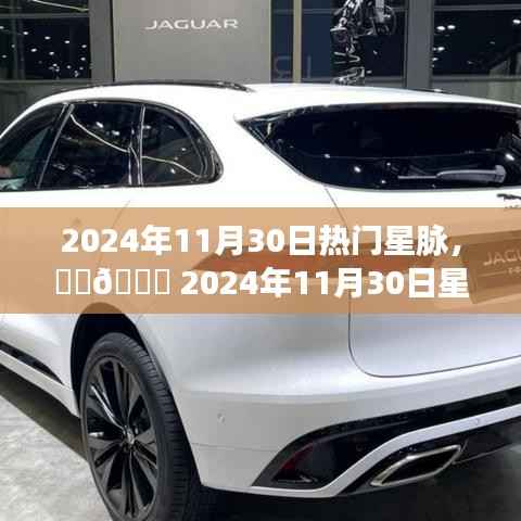 🌟 2024年11月30日星座运势揭秘,星脉盛宴开启,热门星脉运势大放送!