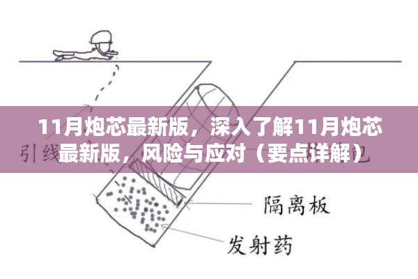 深入了解,11月炮芯最新版的挑战与应对策略(风险详解)