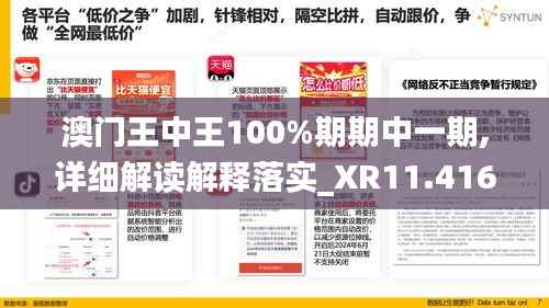 澳门王中王100%期期中一期,详细解读解释落实_XR11.416-2
