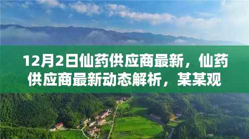 最新仙药供应商动态解析及观点探讨,12月2日更新