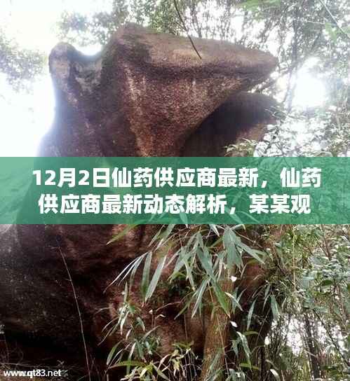 最新仙药供应商动态解析及观点探讨,12月2日更新