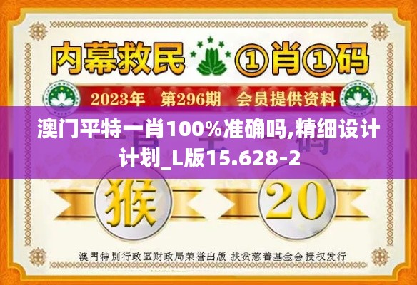 澳门平特一肖100%准确吗,精细设计计划_L版15.628-2