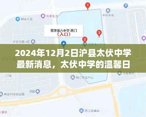 沪县太伏中学最新动态，友情与爱在温馨日常中绽放（2024年12月2日）