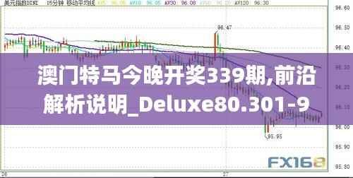 澳门特马今晚开奖339期,前沿解析说明_Deluxe80.301-9