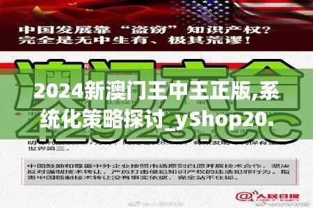 2024新澳门王中王正版,系统化策略探讨_yShop20.421-4