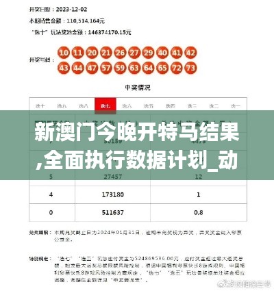 新澳门今晚开特马结果,全面执行数据计划_动态版3.521
