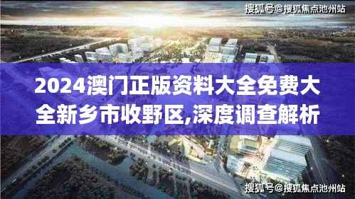 2024澳门正版资料大全免费大全新乡市收野区,深度调查解析说明_特别版95.766