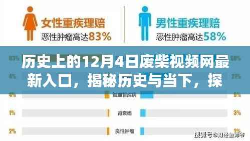 揭秘历史与当下，探寻历史上的废柴视频网最新入口（12月4日）