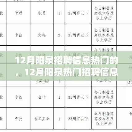 12月阳泉热门招聘信息全面解析与评测