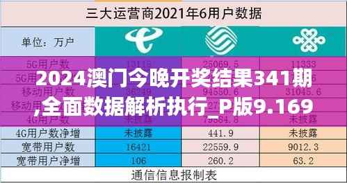 2024澳门今晚开奖结果341期,全面数据解析执行_P版9.169
