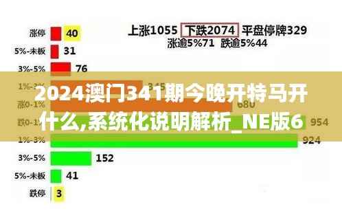 2024澳门341期今晚开特马开什么,系统化说明解析_NE版6.761