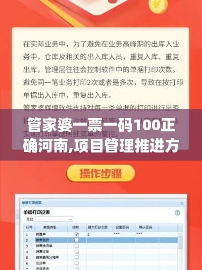 管家婆一票一码100正确河南,项目管理推进方案_Prime7.466
