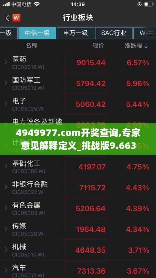 4949977.соm开奖查询,专家意见解释定义_挑战版9.663