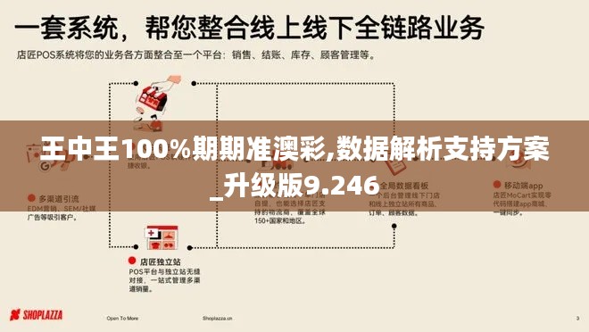 王中王100%期期准澳彩,数据解析支持方案_升级版9.246
