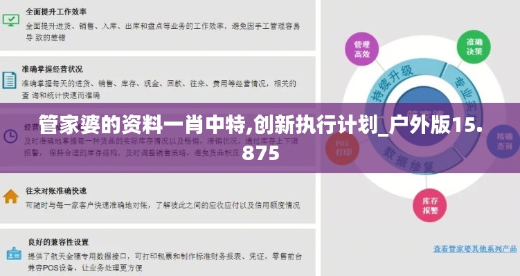 管家婆的资料一肖中特,创新执行计划_户外版15.875