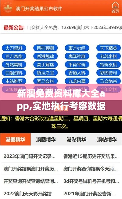 新澳免费资料库大全app,实地执行考察数据_UHD版7.687