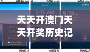 天天开澳门天天开奖历史记录,决策信息解析说明_Nexus4.243