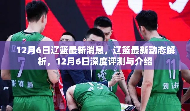 辽篮最新动态解析及深度评测,12月6日最新消息与介绍