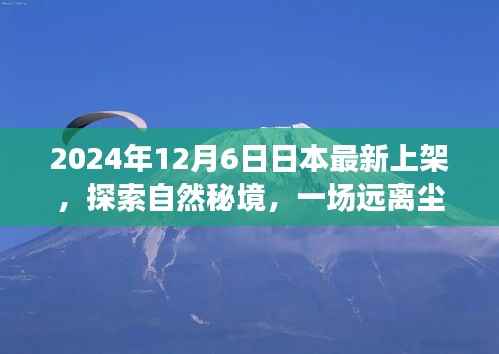 启程探索自然秘境,日本最新上架的心灵之旅
