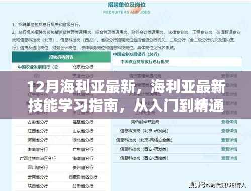 从入门到精通,海利亚最新技能学习指南全解析(12月最新版)