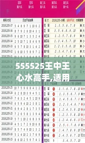 555525王中王心水高手,适用解析计划方案_5DM10.478