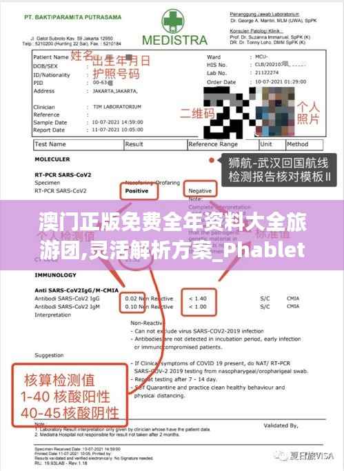 澳门正版免费全年资料大全旅游团,灵活解析方案_Phablet15.506