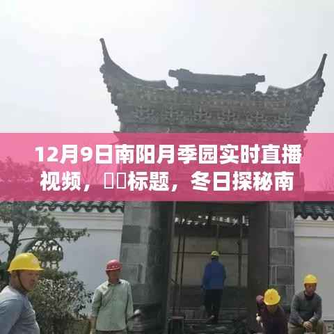 冬日探秘南阳月季园,直播之旅寻找心灵的宁静之地