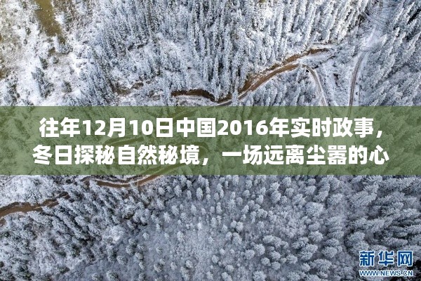 冬日探秘自然秘境,中国实时政事下的心灵之旅(2016年)