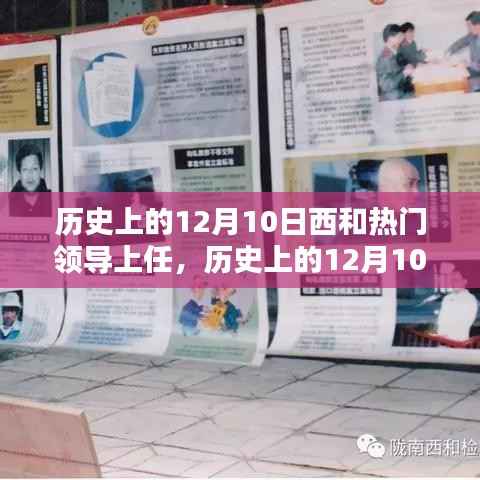 历史上的12月10日,西和热门领导上任详解及步骤回顾