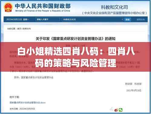 白小姐精选四肖八码:四肖八码的策略与风险管理
