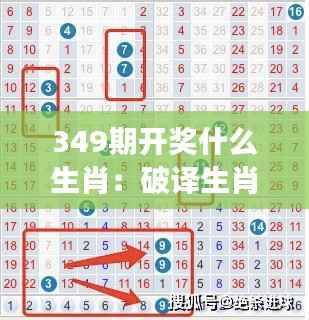 349期开奖什么生肖:破译生肖与中奖号码的秘密