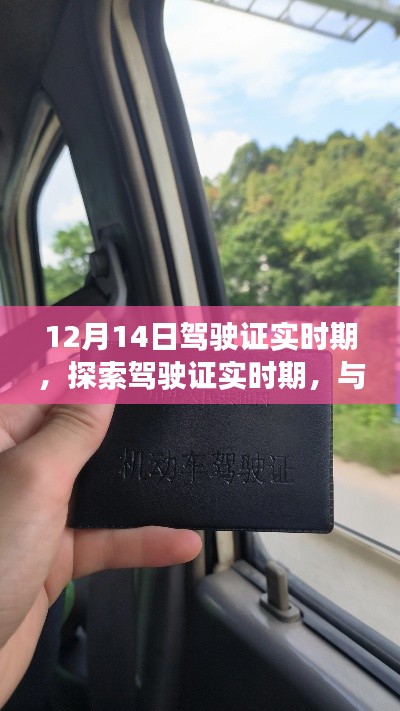 温柔敦厚 第3页