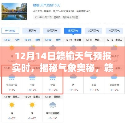 火伞高张 第2页