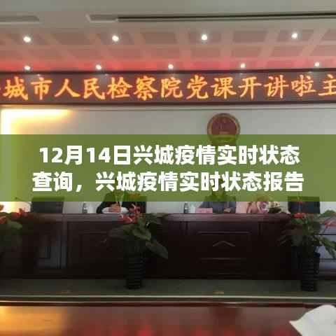 兴城疫情实时状态报告,聚焦十二月十四日的抗疫前线动态