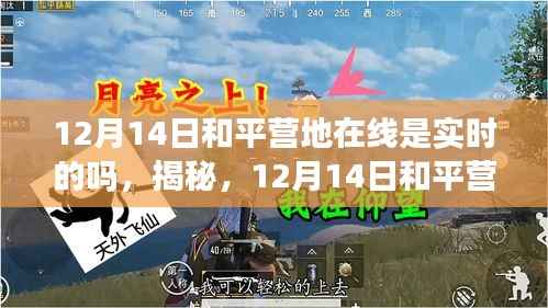 揭秘,12月14日和平营地在线实时状态深度解析