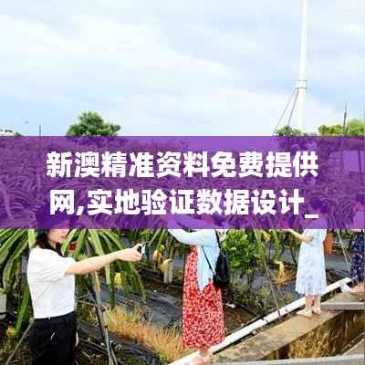 新澳精准资料免费提供网,实地验证数据设计_Z7.279