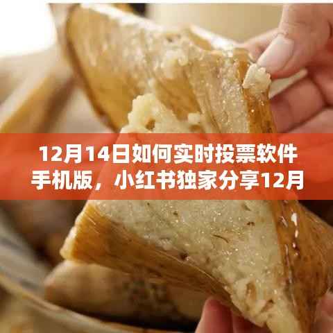 小红书独家分享,12月14日实时投票软件手机版使用指南及实时投票指南