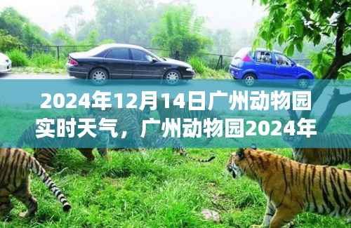广州动物园风云变幻中的动物与自然共舞纪实,2024年12月14日天气纪实