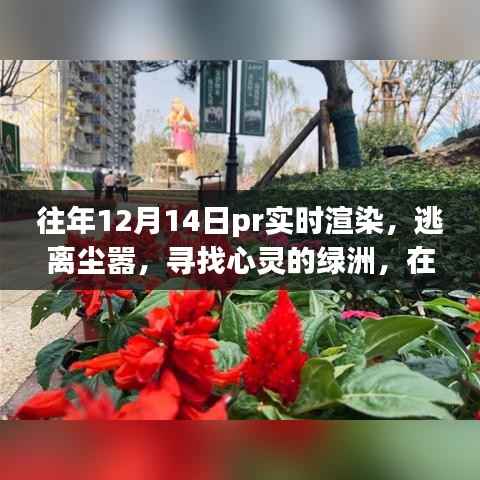 往年12月14日PR实时渲染之旅,逃离尘嚣,触摸自然绿洲的心灵体验