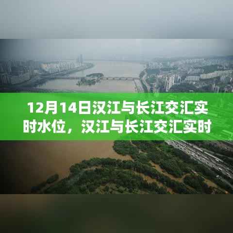 汉江与长江交汇实时水位,多方观点深度解读及实时更新报告