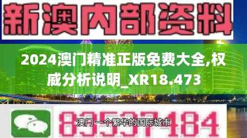 2024澳门精准正版免费大全,权威分析说明_XR18.473