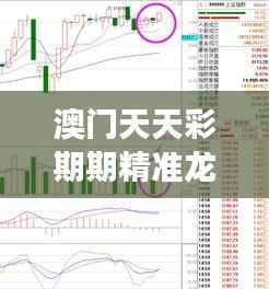 澳门天天彩期期精准龙门客栈:乐透趋势解码与赢家策略