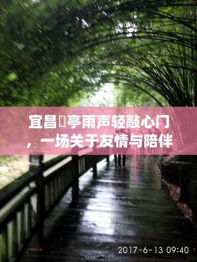 雨中奇遇,宜昌猇亭的友情与陪伴