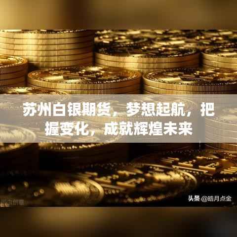 苏州白银期货,把握变化,成就辉煌未来之梦想起航点